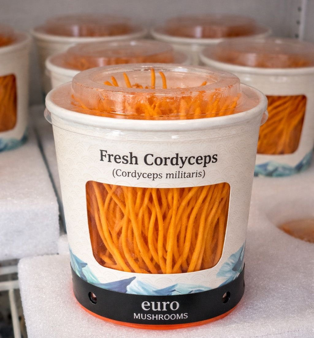 Fresh Cordyceps: The Rare Gourmet Mushroom Elevating Modern Cuisine