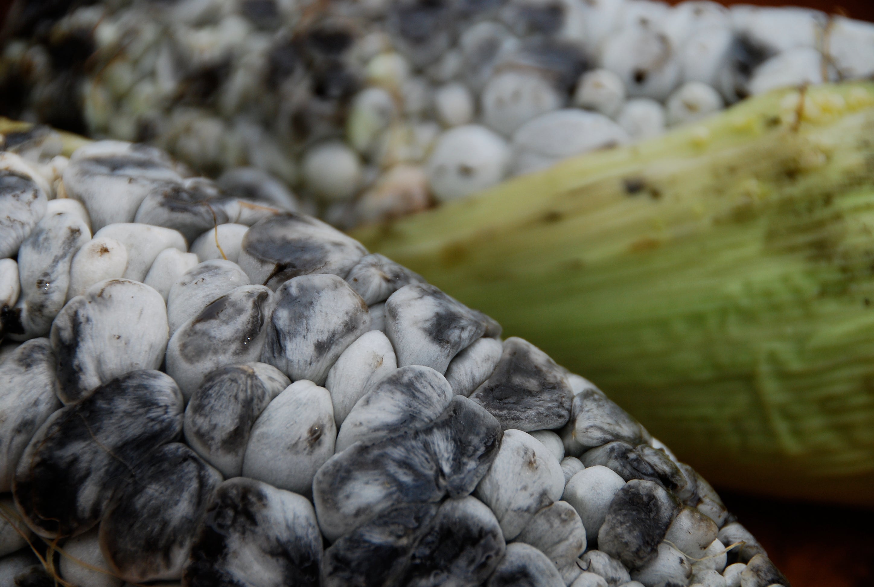 What Is Huitlacoche? A Guide to Mexico’s Famous Corn Truffle