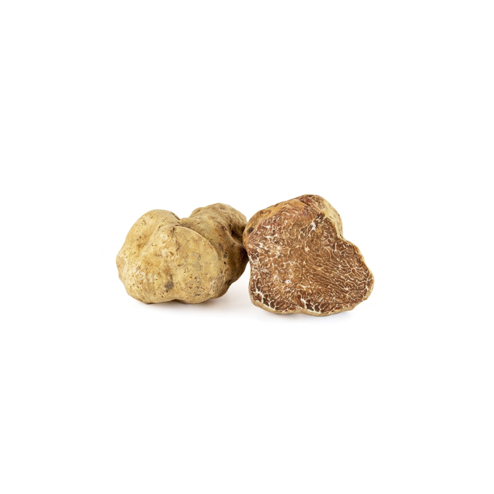 Fresh Tuber magnatum white truffles prepared for receiving and species review