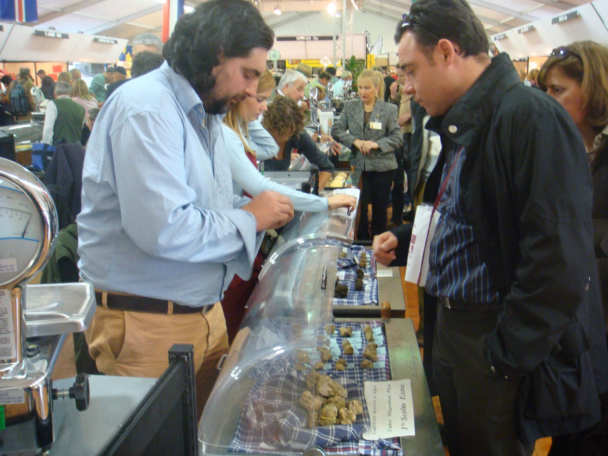Buyers inspect white truffles at the Alba white-truffle market