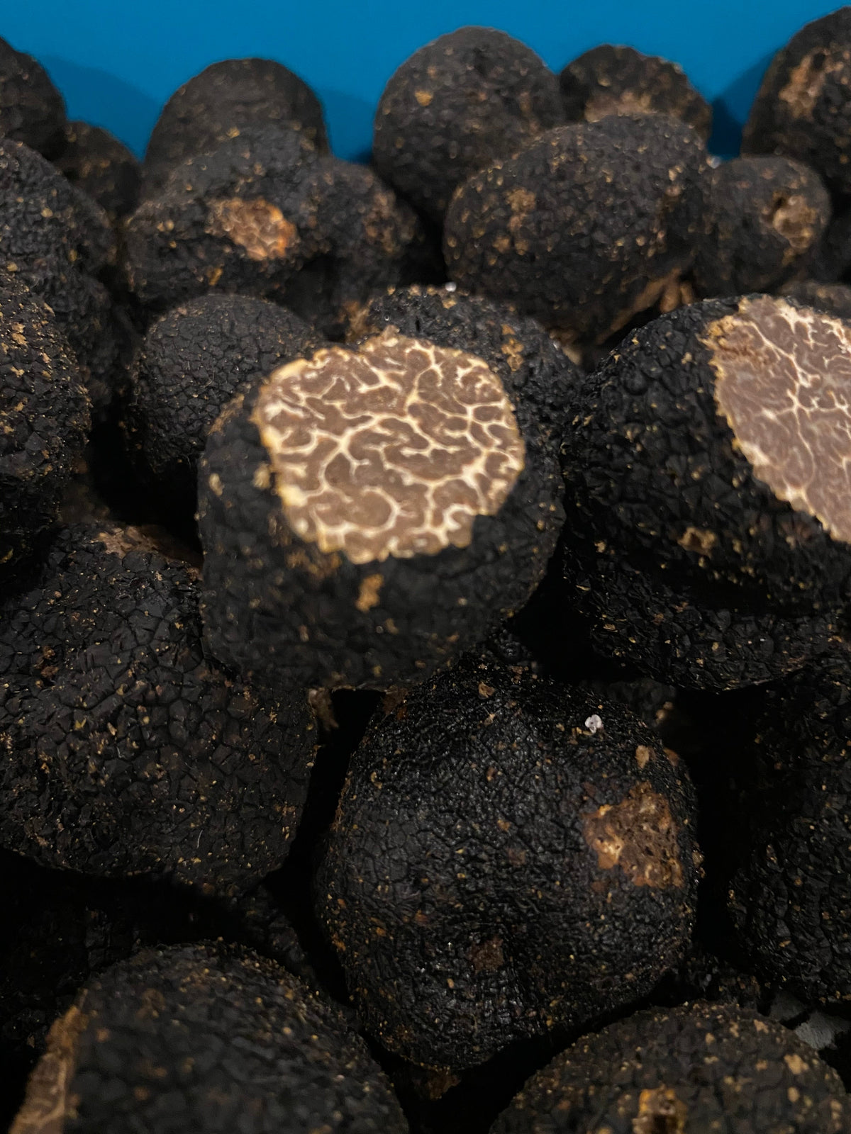 Original photograph of Bagnoli truffles with two cut faces showing natural pale marbling