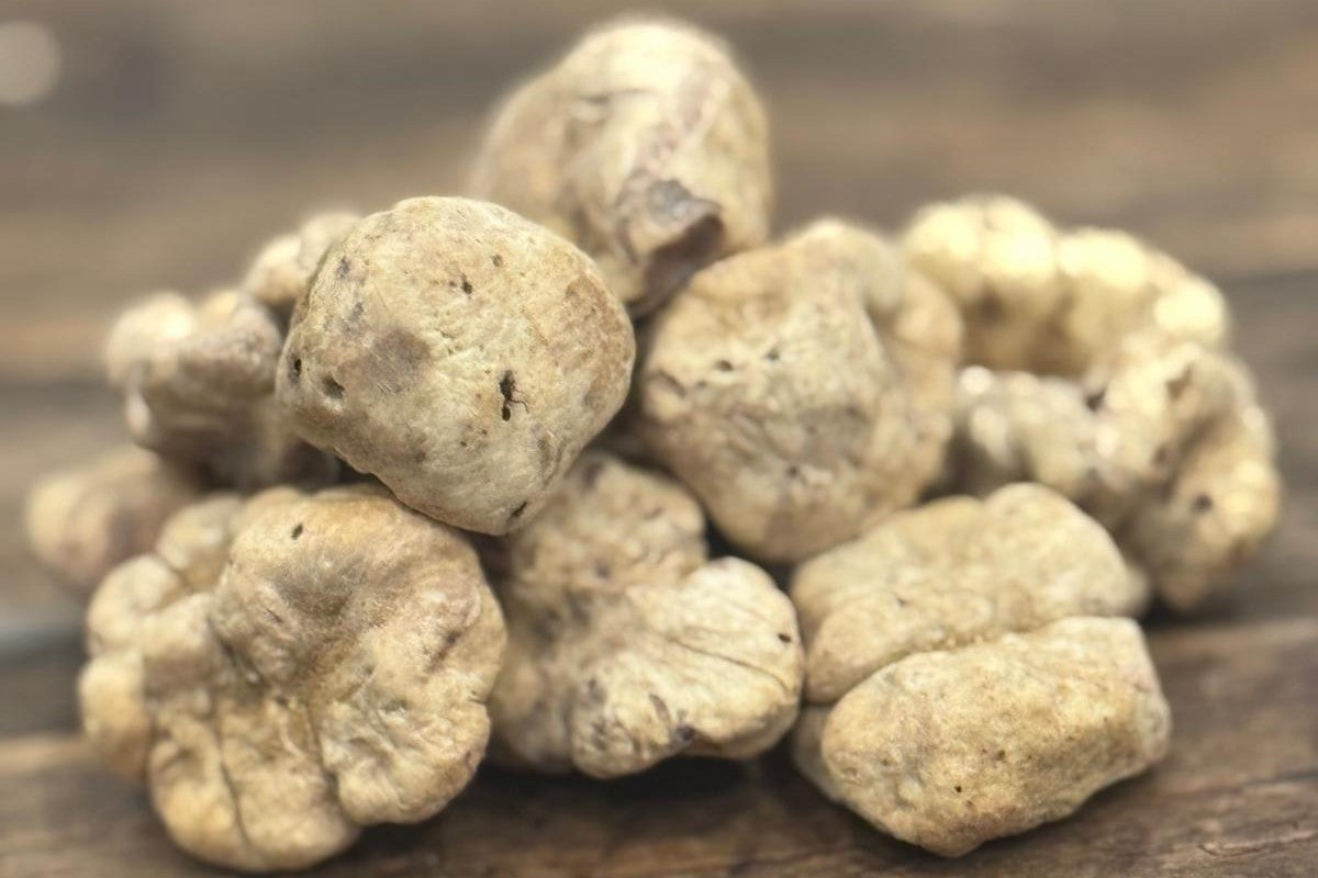 Pile of fresh white truffles (Tuber magnatum) on a rustic wooden table
