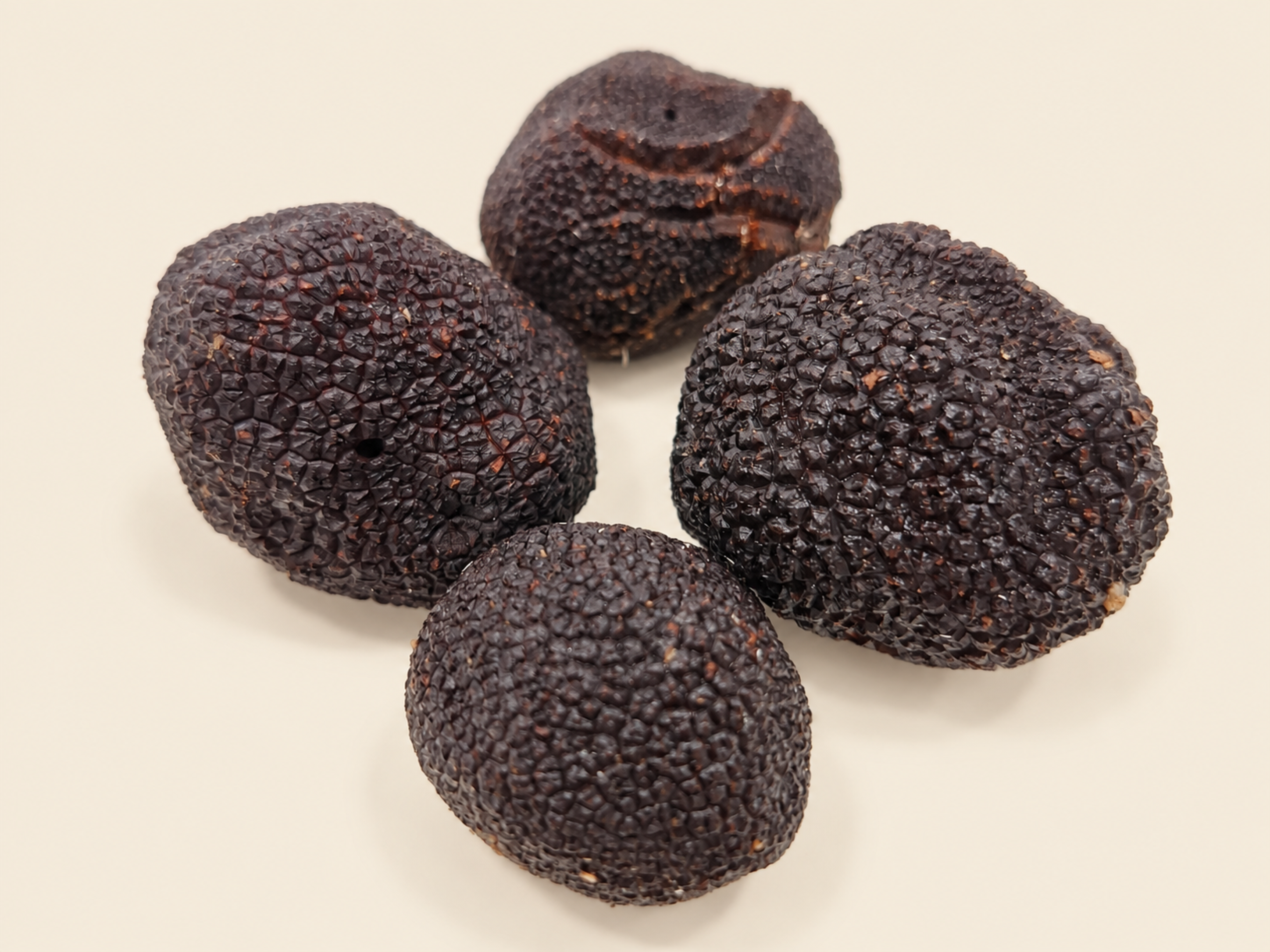 Four fresh Tuber melanosporum black winter truffles centered on a warm bone background