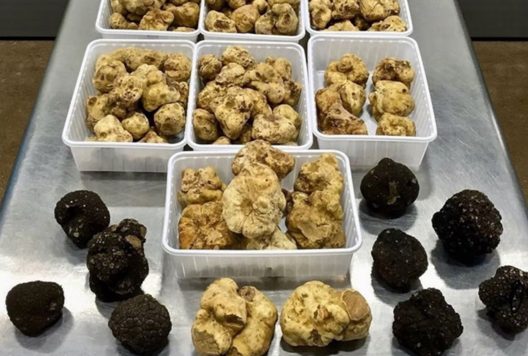 White Truffles vs. Black Truffles: What’s the Difference?