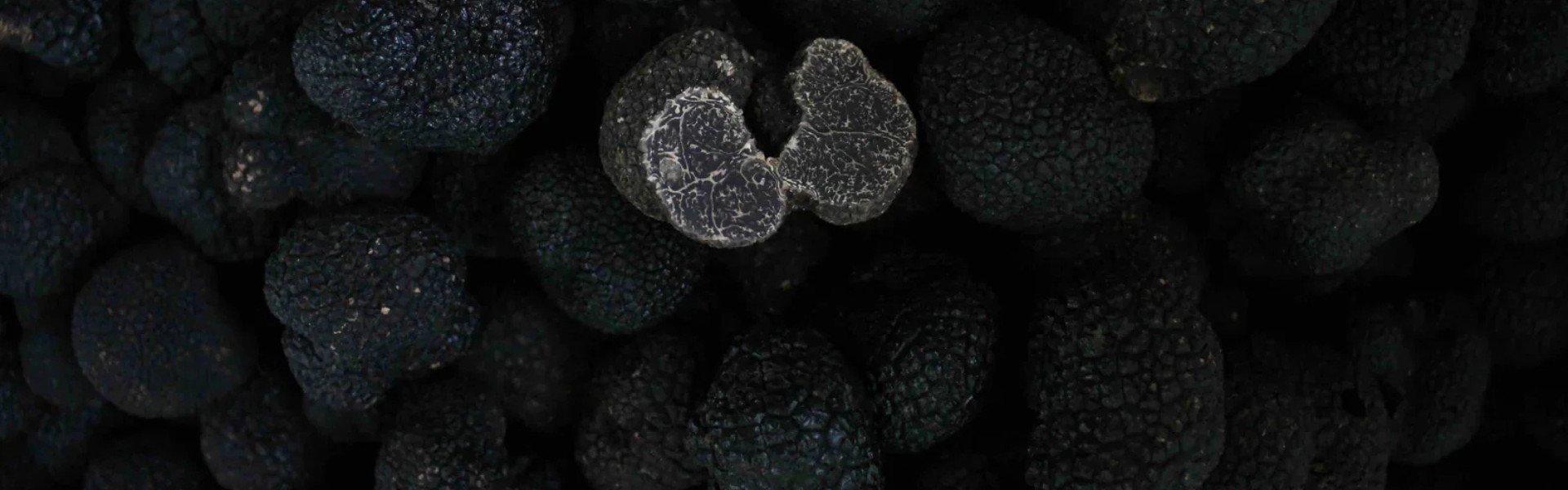 Fresh Truffles