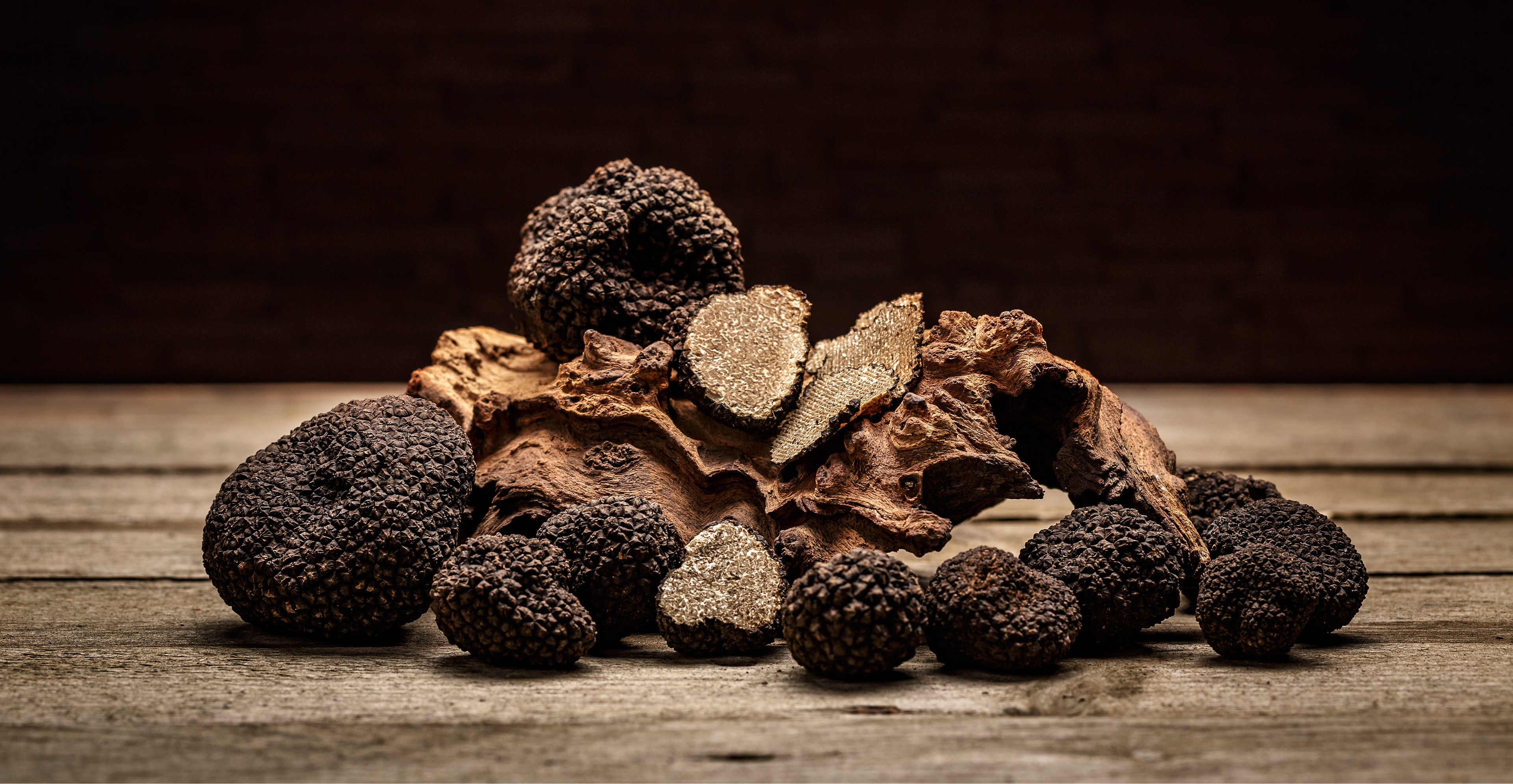 Dried Truffles | Mushrooms