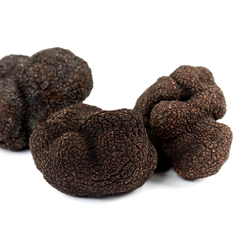 fresh-black-truffles-melanosporum