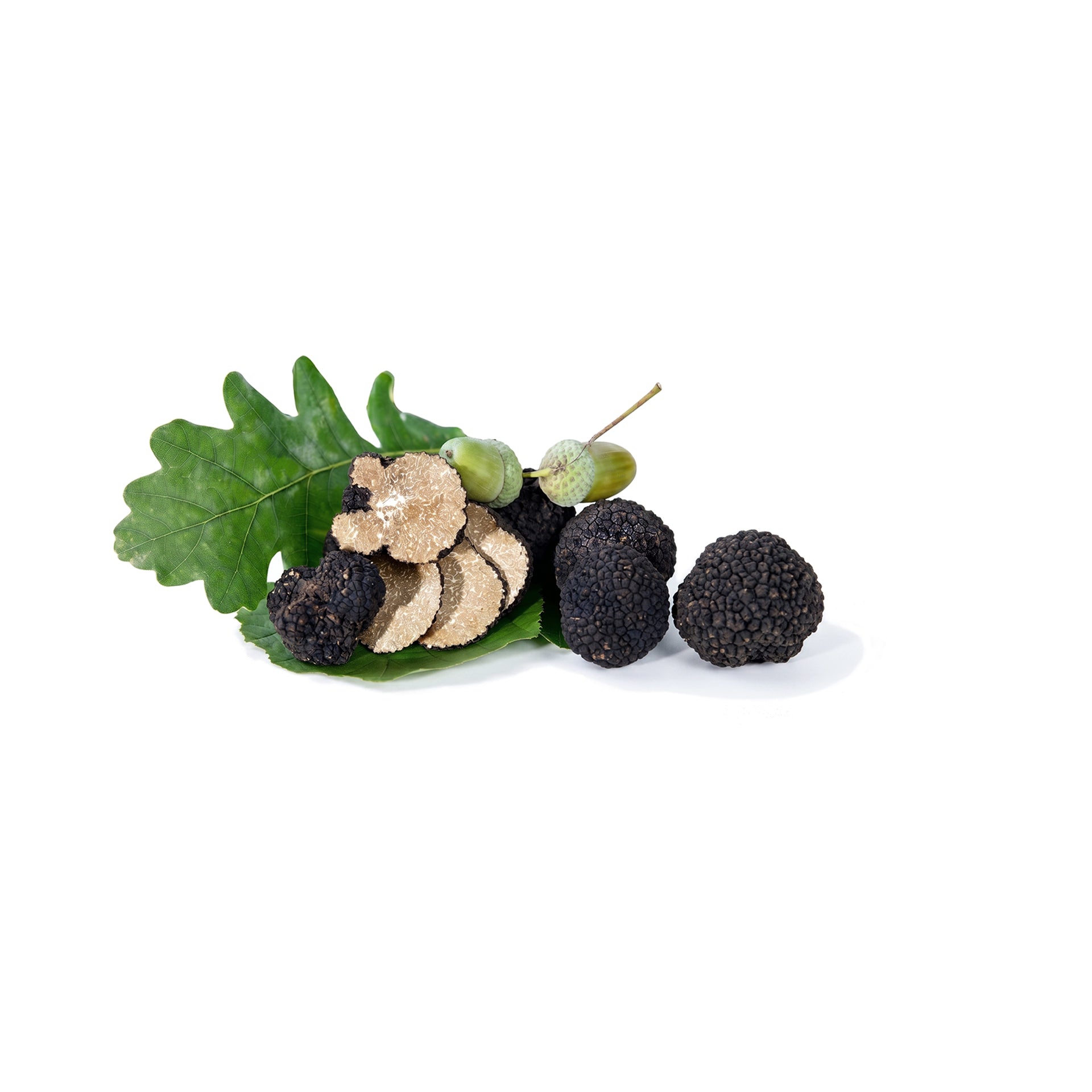 fresh-autumn-truffle-tuber-uncinatum