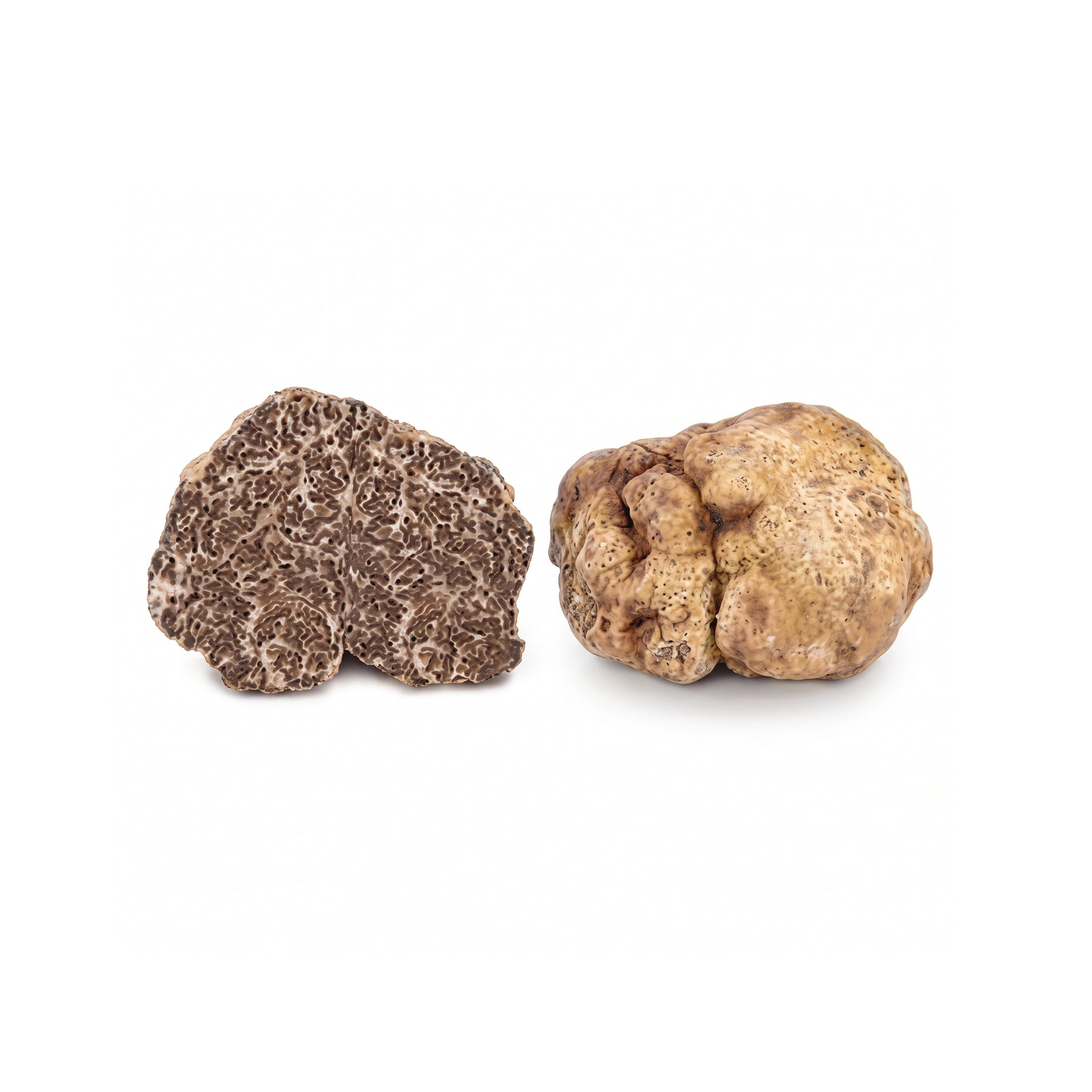 fresh-white-bianchetto-truffles-tuber-borchii