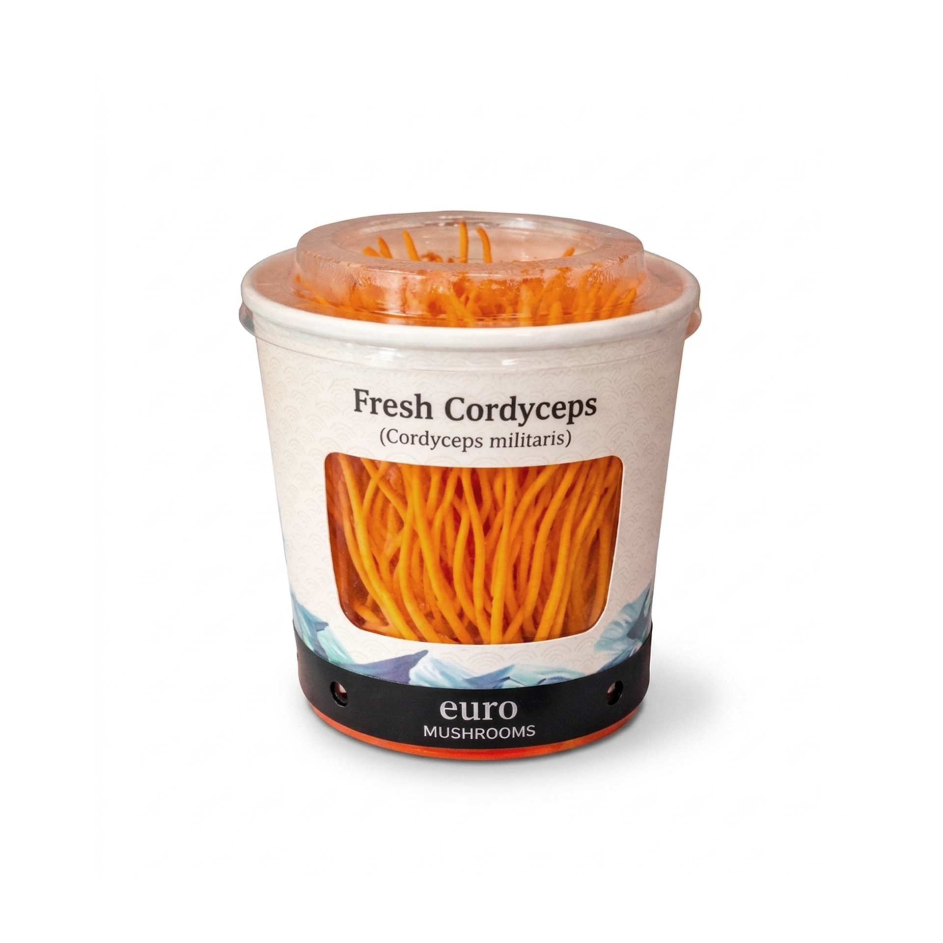 fresh-cordyceps-cordyceps-militaris