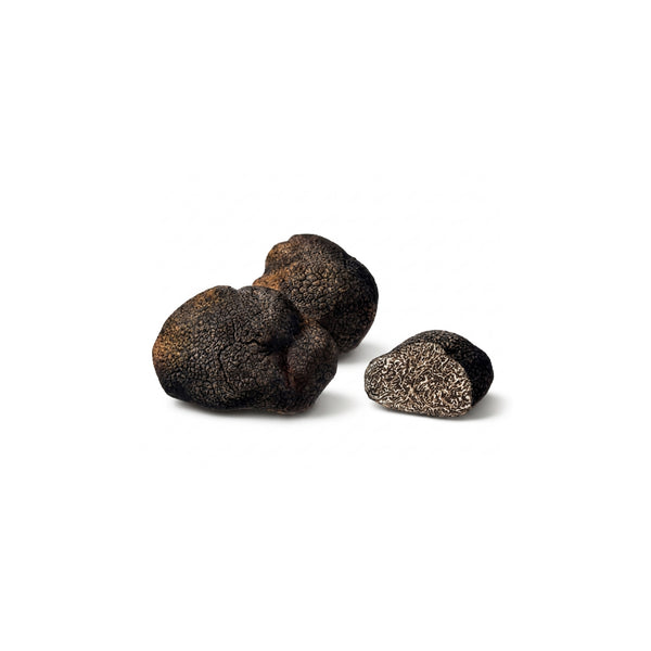 Fresh Smooth Black Truffle Macrosporum