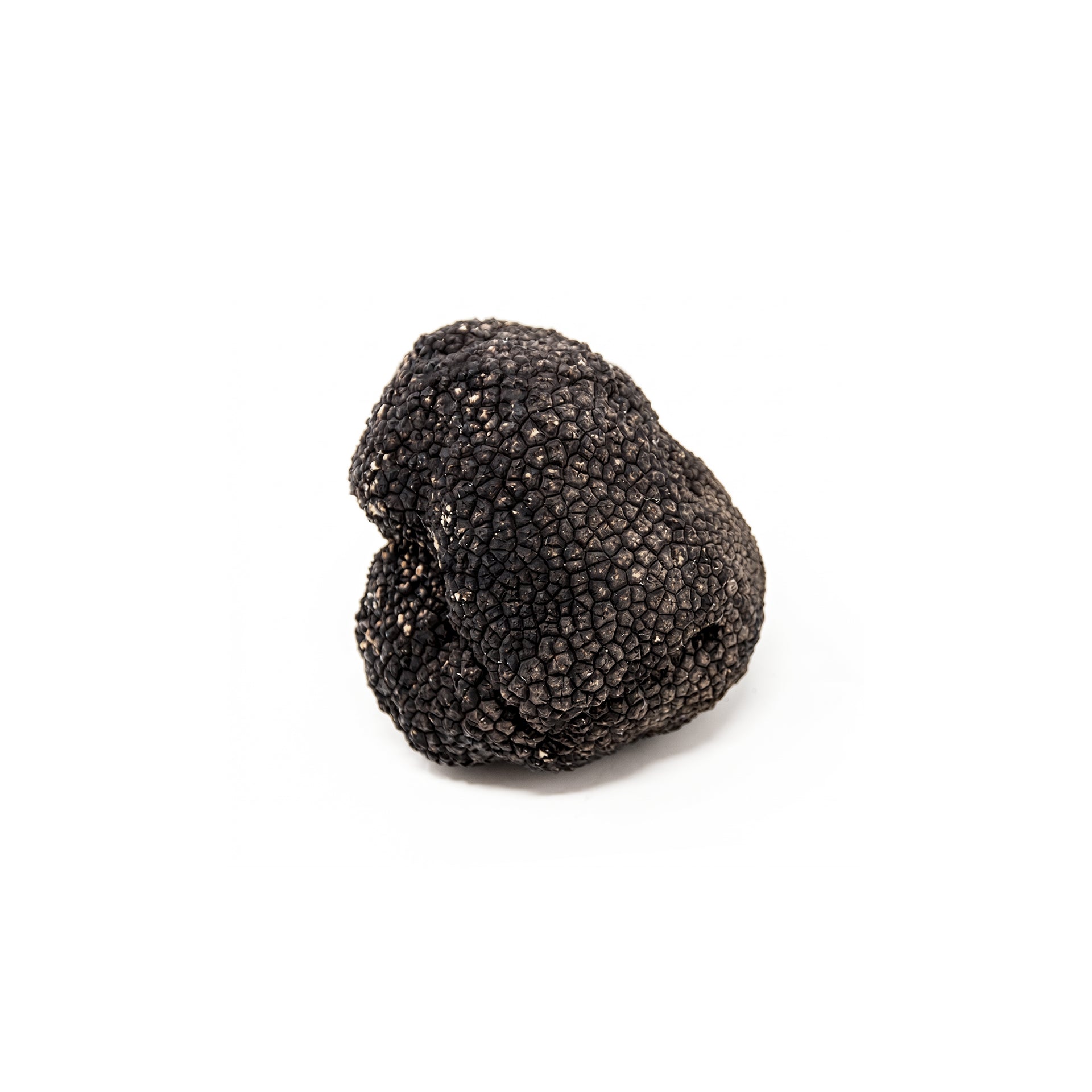 fresh-summer-truffle-tuber-aestivum