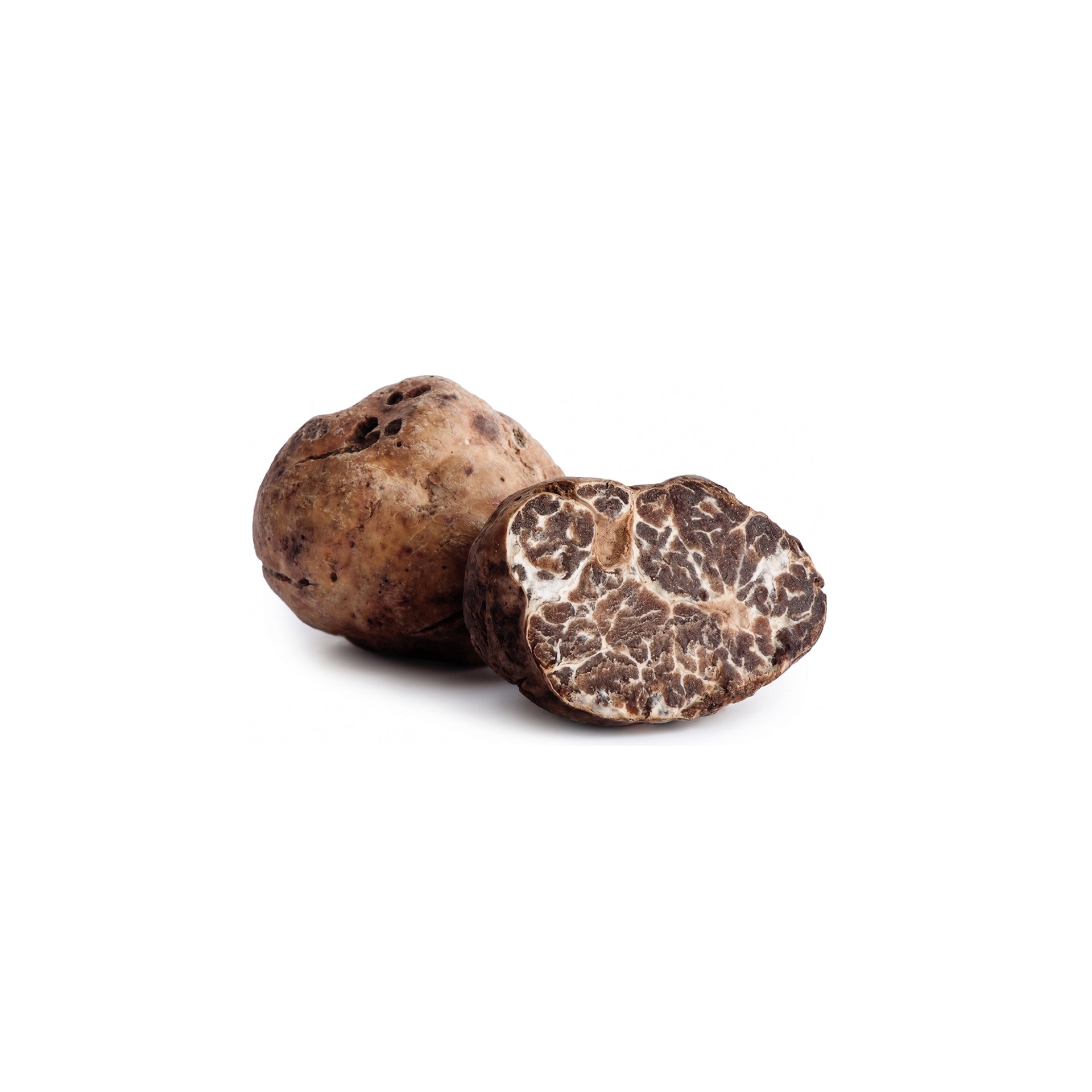 fresh-white-bianchetto-truffles-tuber-borchii
