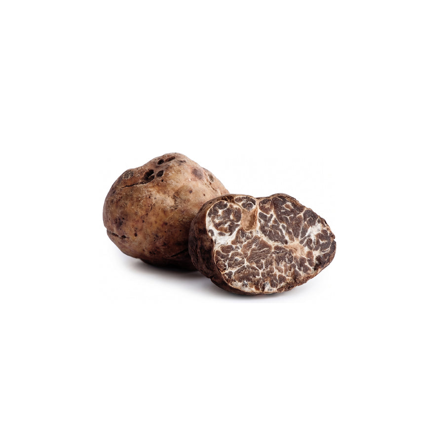 Fresh Tuber borchii Bianchetto truffles