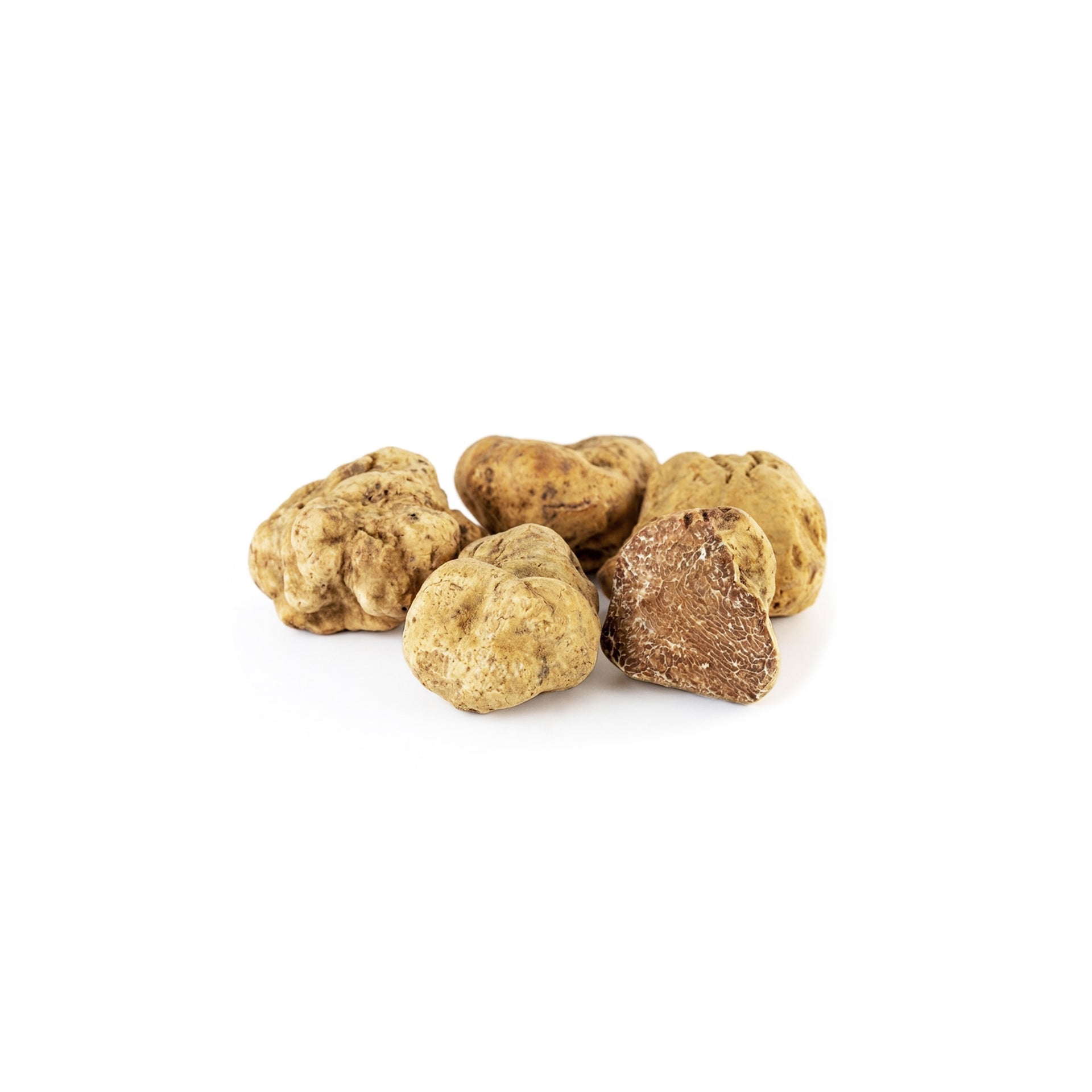fresh-white-truffle-tuber-magnatum