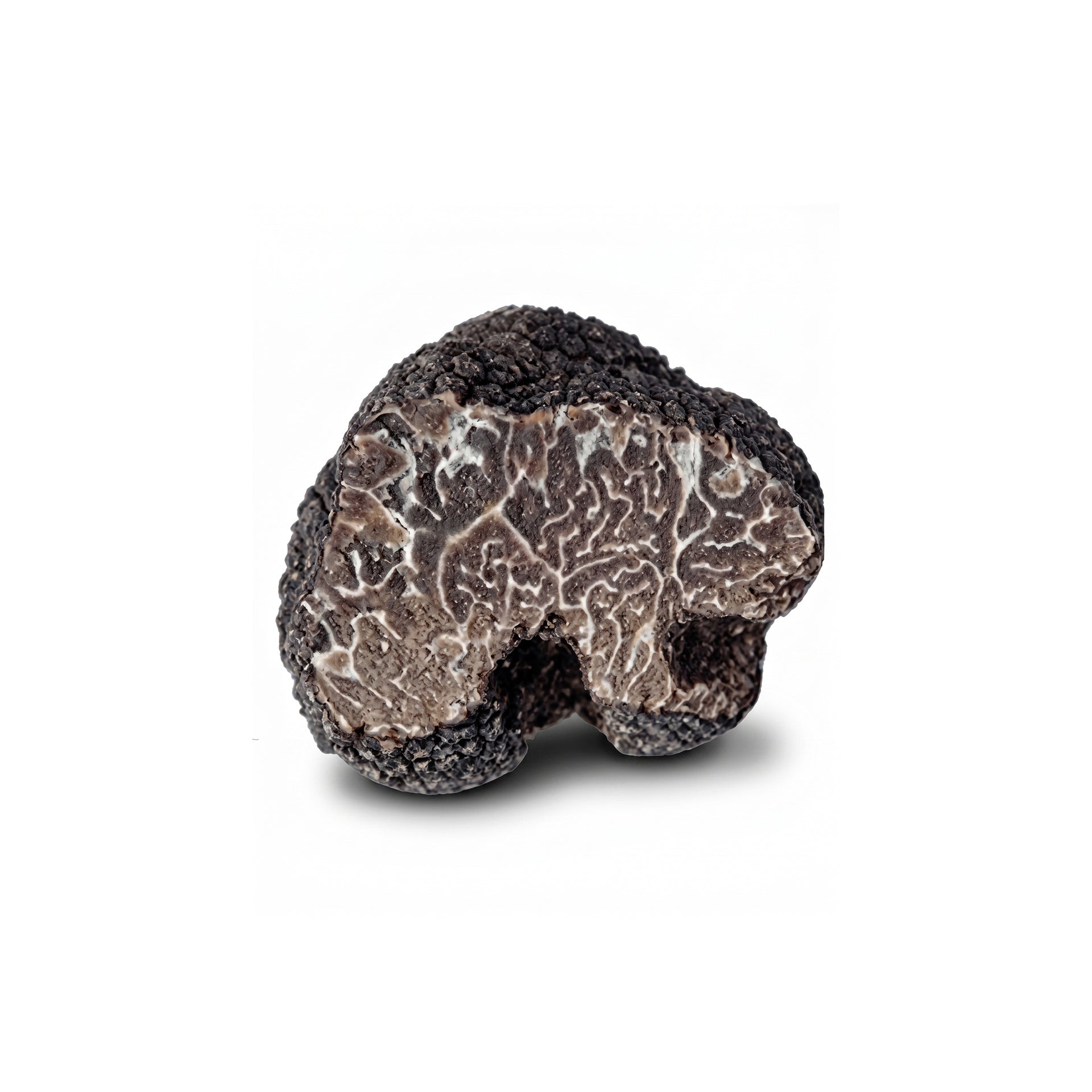 fresh-black-musky-truffles-brumale