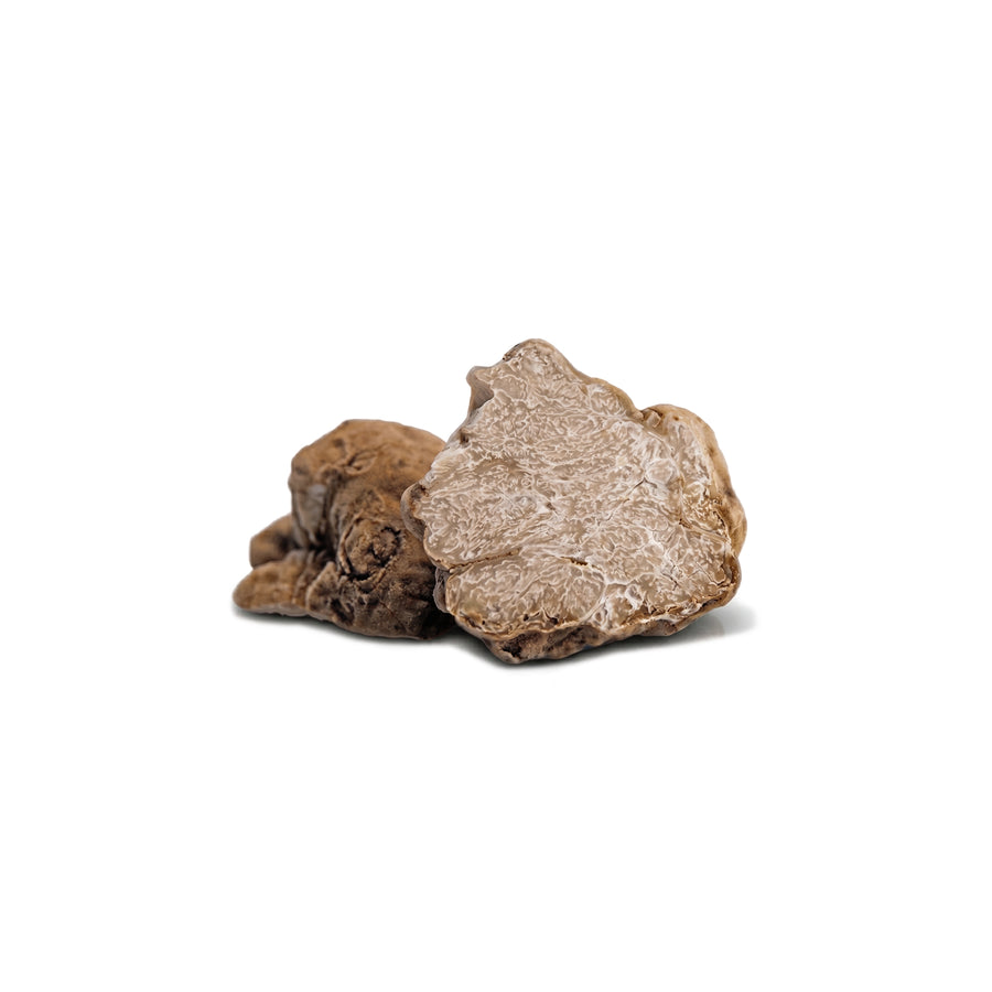 Frozen Tuber magnatum white truffles