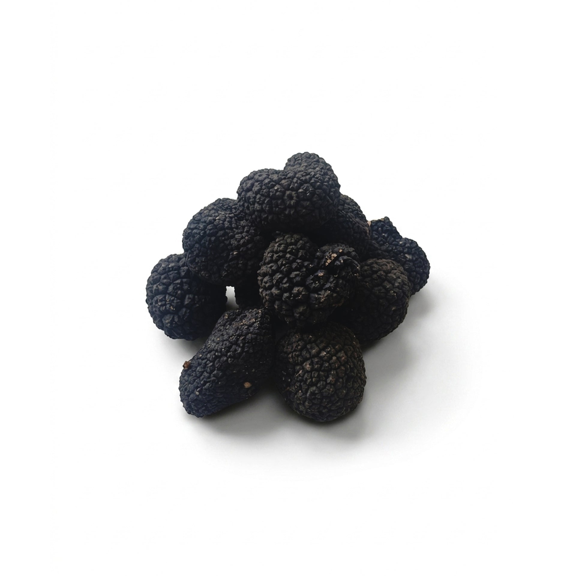 fresh-summer-truffle-tuber-aestivum