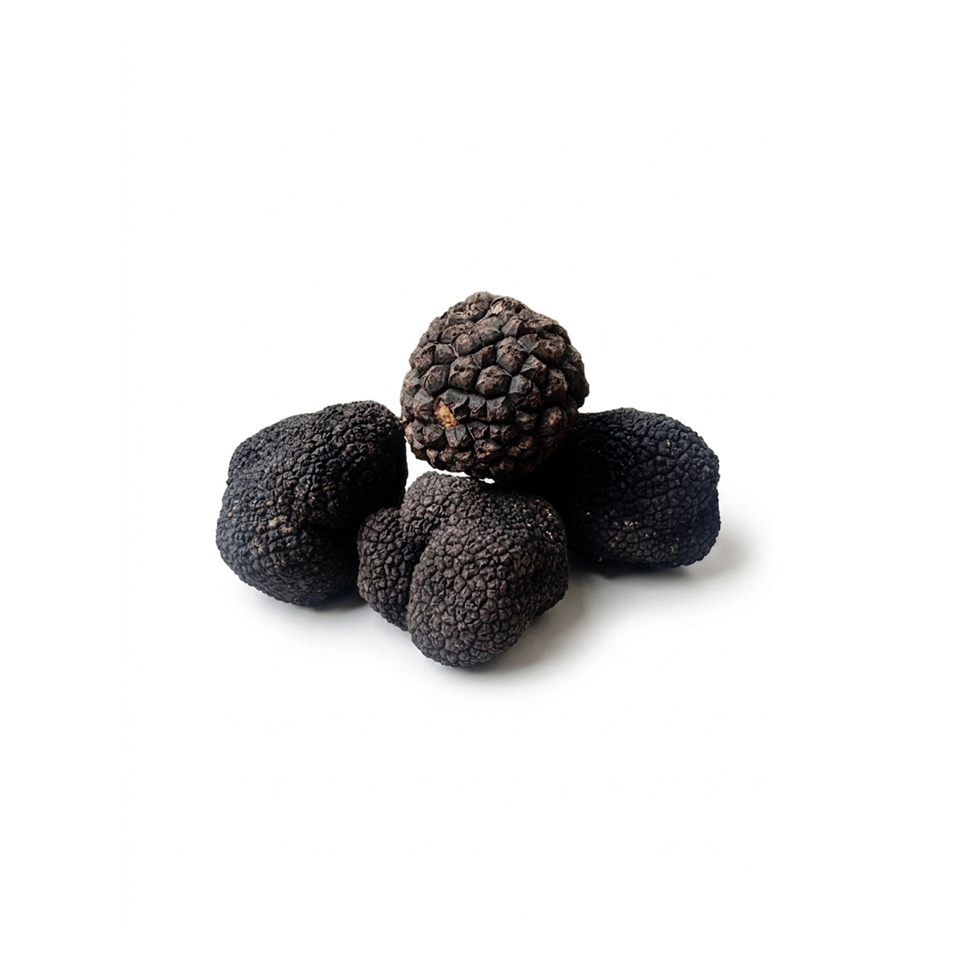 fresh-summer-truffle-tuber-aestivum
