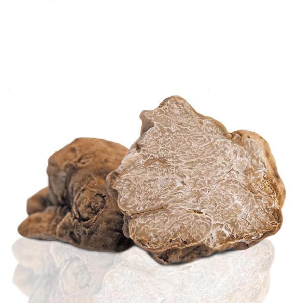 Frozen White Truffles Magnatum