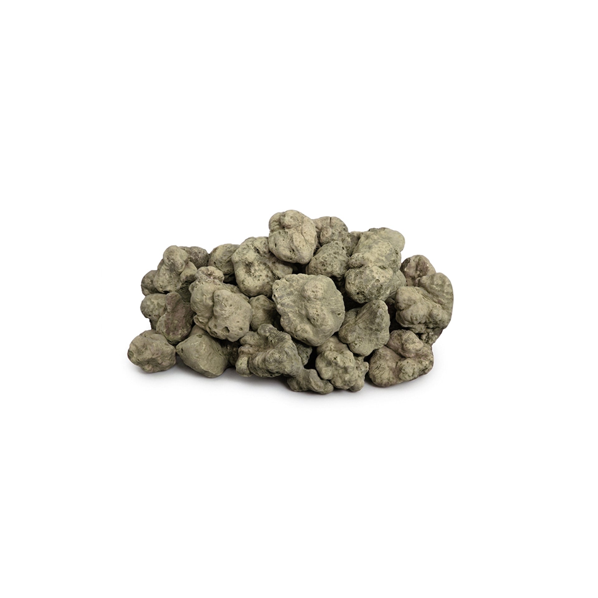 white-truffles-for-dog-training
