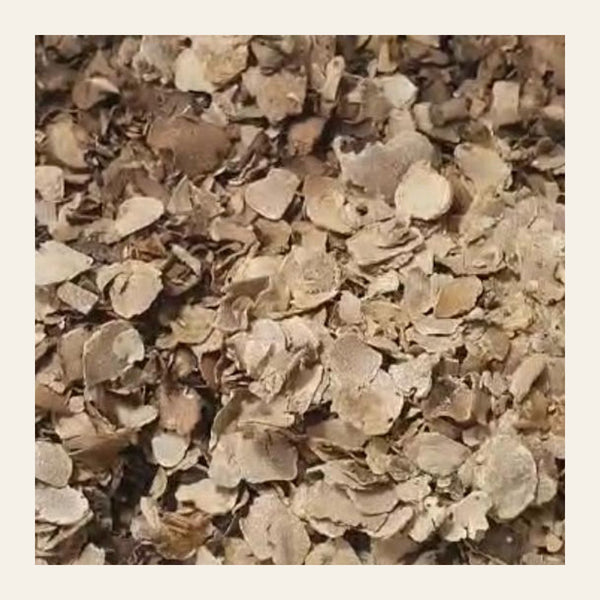 Close-up of real dried Bianchetto truffle slices (Tuber borchii)