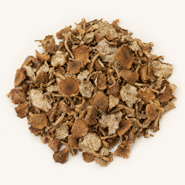 Dried candy cap mushrooms on a warm ivory background