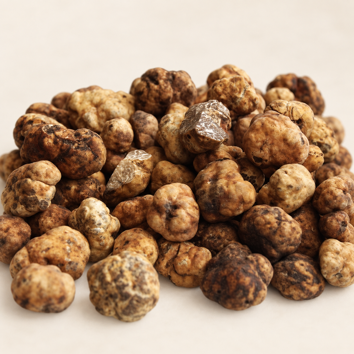 frozen-tuber-borchii-bianchetto-truffles-on-a-warm-ivory-background