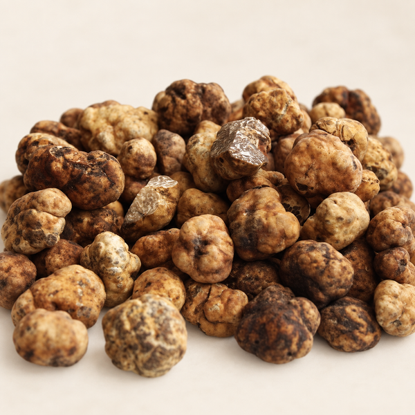 Frozen Tuber borchii Bianchetto truffles on a warm ivory background