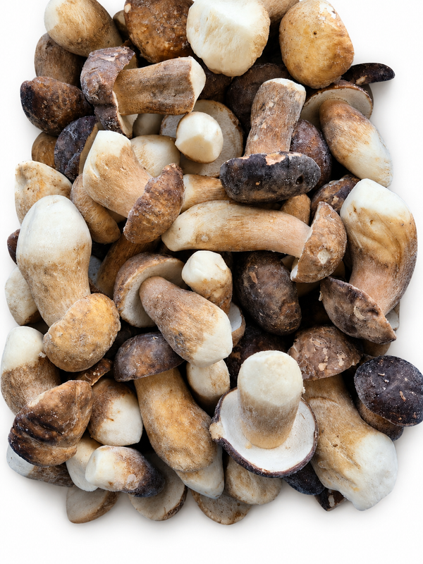 Frozen whole European porcini mushrooms on a white background