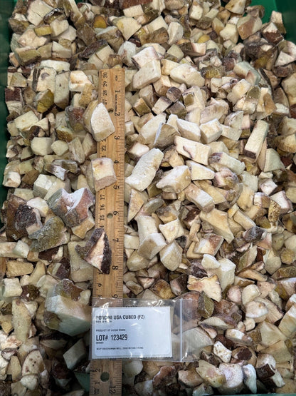 Oregon frozen porcini mushroom cubes with size reference1
