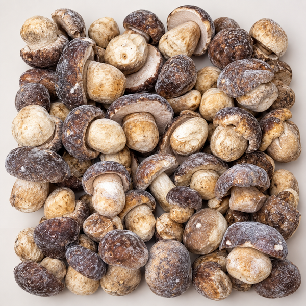 Frozen whole Oregon porcini mushrooms on a clean white background