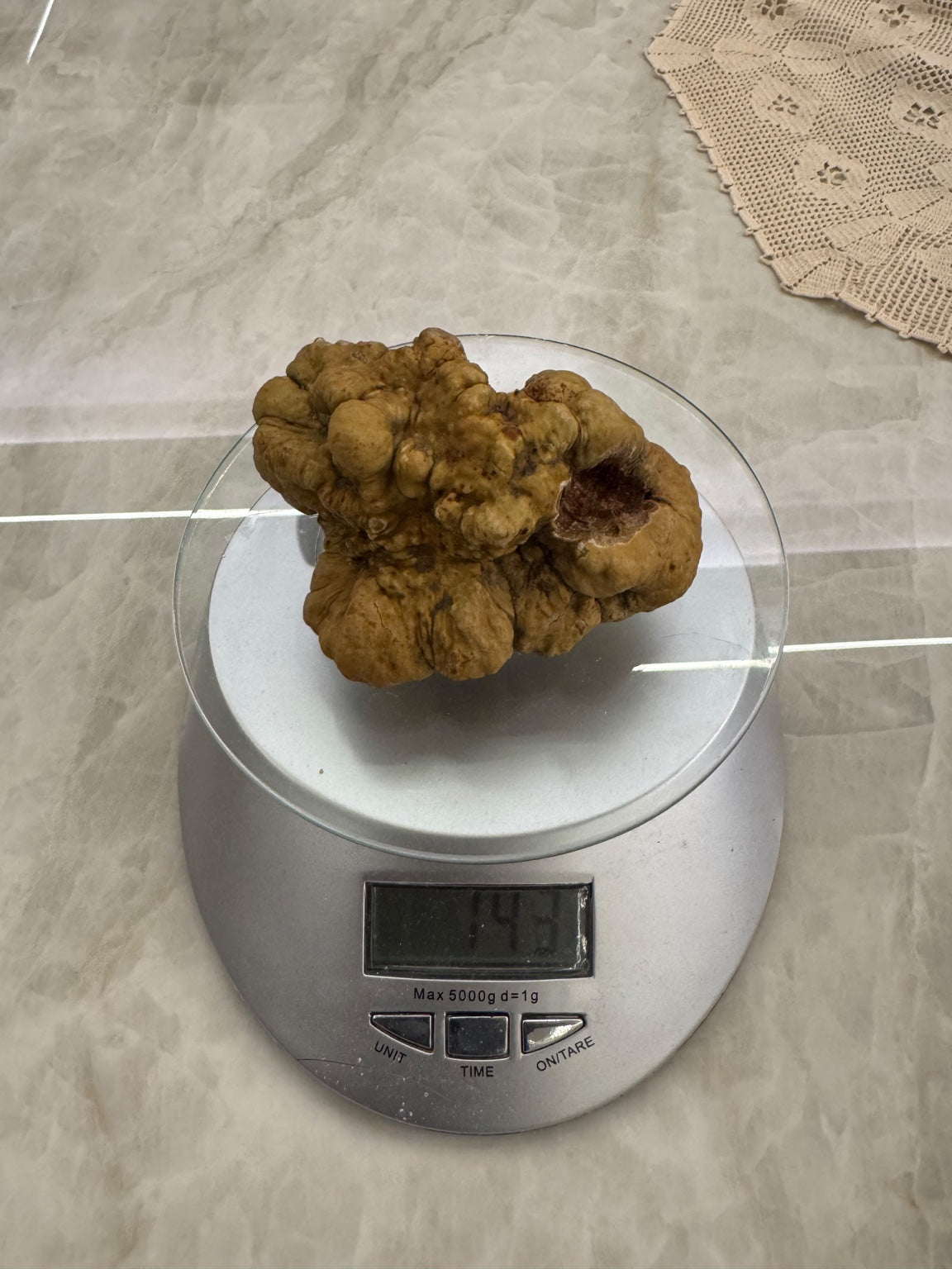 original-photograph-of-the-individual-white-truffle-on-a-scale-reading-143g