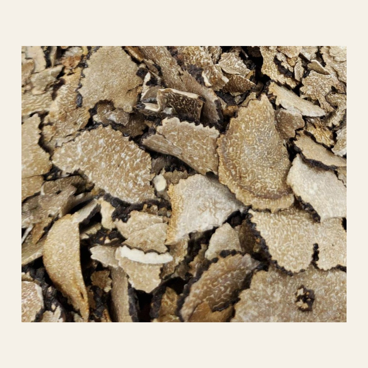 dried-summer-truffle-slices-tuber-aestivum