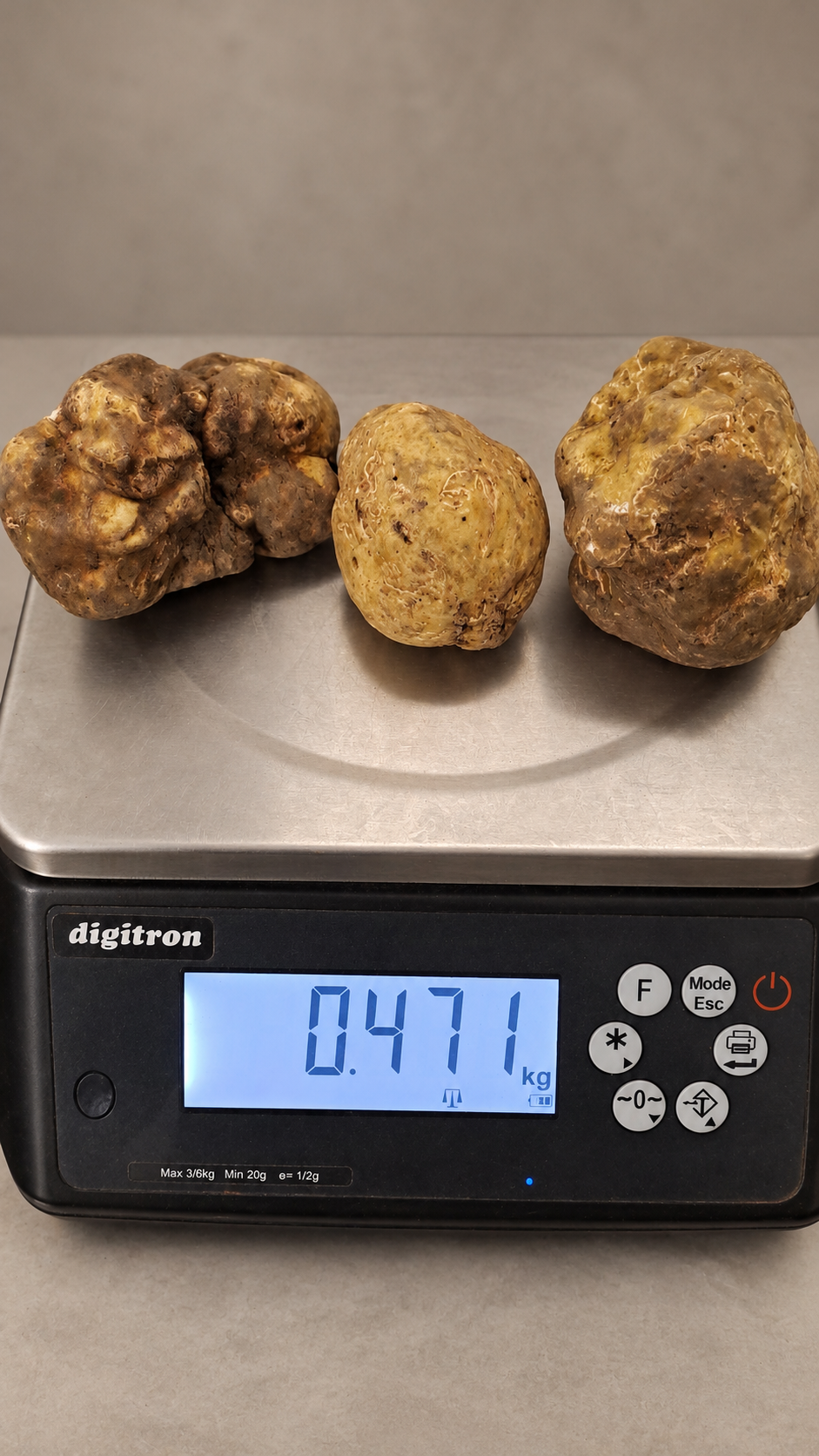 Three white truffles from Alba weighing 0.471 kg combined