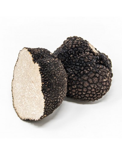 Fresh Black Summer Truffles C-grade Fresh Black Summer Truffles C-grade image