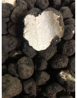 Fresh Black Truffles Early Season