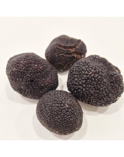 Fresh Black Truffles Melanosporum Extra Fresh Black Truffles Melanosporum Extra image