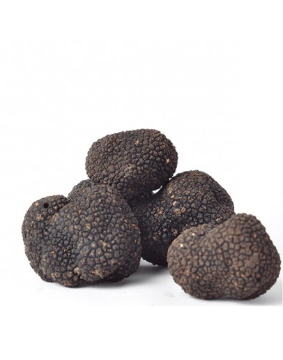 Fresh Australian Black Winter Truffle 