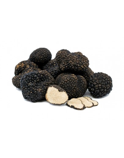 Fresh Black Summer Truffles B-grade Fresh Truffles, Types of truffles, Fresh Tuber Aestivum image
