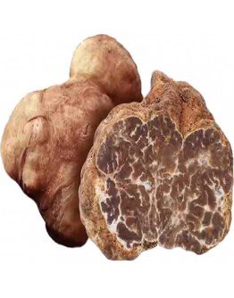 Fresh white truffles Tuber Albidum pico Extra-grade
