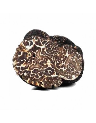 Fresh black winter truffles Brumale A-grade Fresh Truffles, Types of truffles, Fresh Tuber Brumale image