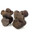 Fresh Black Truffles Melanosporum Large broken pieces