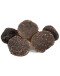 Fresh Black Truffles Melanosporum A-grade
