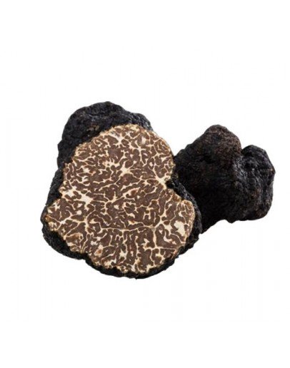 Showing image for Fresh Bagnoli Truffle Mesentericum A-grade Fresh Bagnoli Truffle Mesentericum A-grade image