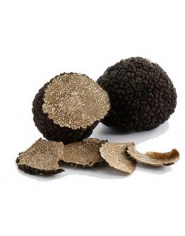 Fresh black Burgundy truffles Uncinatum B-grade 