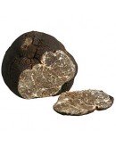 Fresh Smooth Black Truffle Macrosporum A-grade Types of truffles, Fresh Tuber Macrosporum image