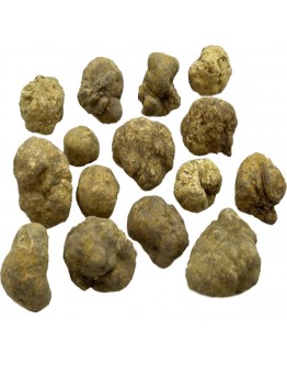 Fresh white truffles Tuber Magnatum Small size