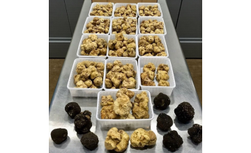 White Truffles vs. Black Truffles: What’s the Difference?