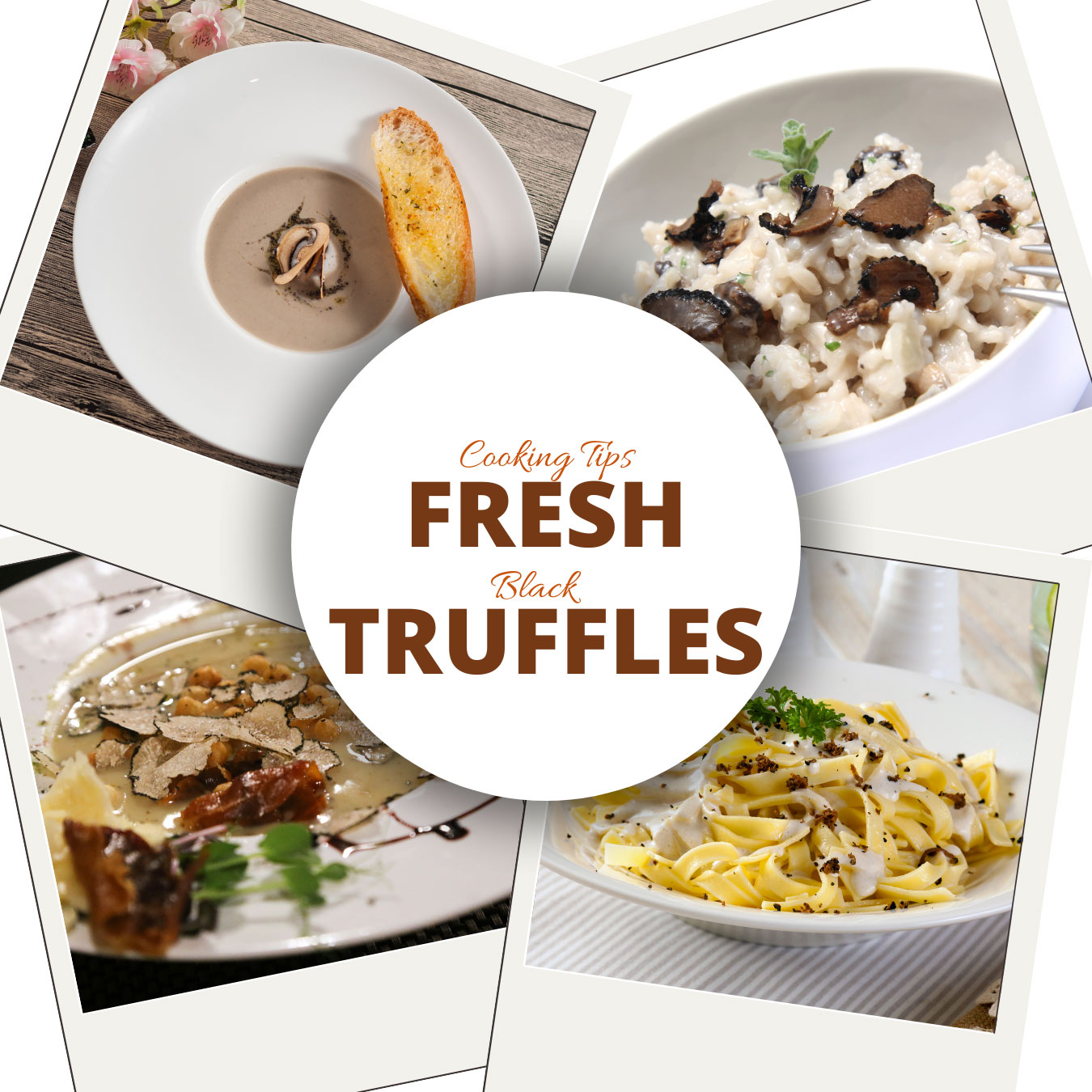 Types of truffles image